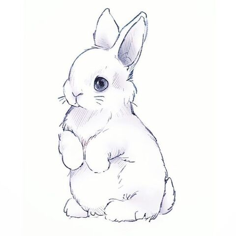 Immagine dell'header di OnlyFans abbunny