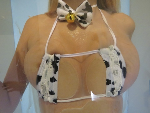 Фото заголовка OnlyFans adelinebri