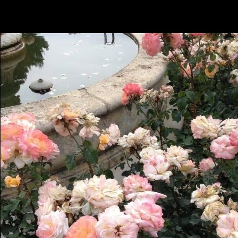 OnlyFans header picture advaa