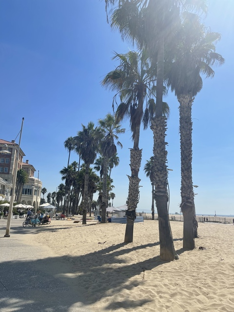 ओन्लीफैंस हैडर चित्र adventureswithwynter