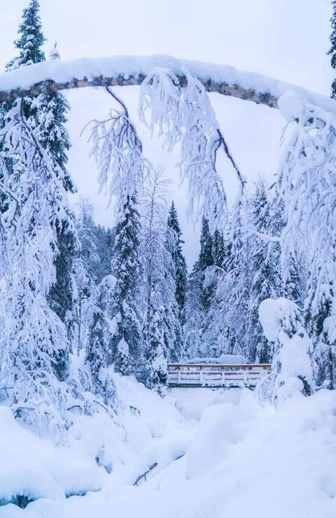 OnlyFans başlık resmi afterhoursd