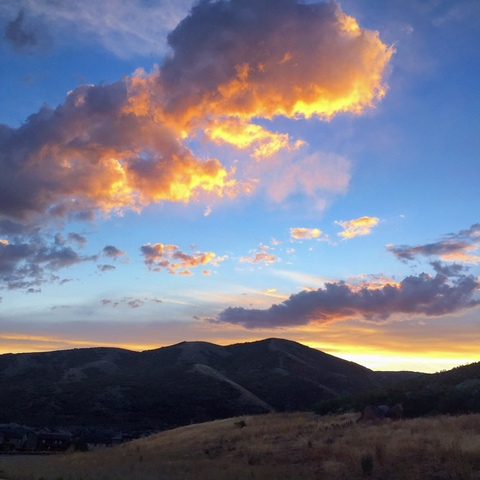 Снимка за заглавие на OnlyFans alex_mecum