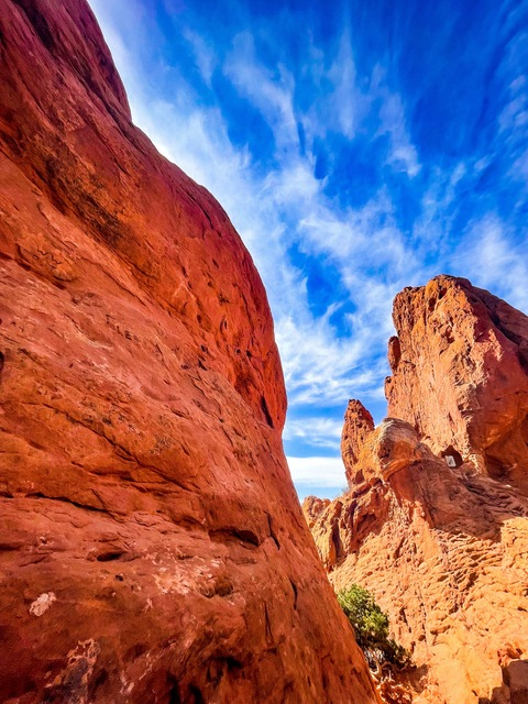 Photo d'en-tête OnlyFans de alexxxomega