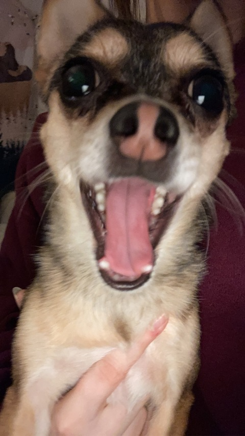 ओन्लीफैंस हैडर चित्र alicekay