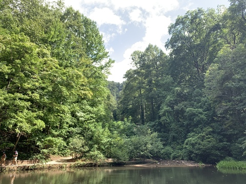 OnlyFans header picture allnaturalmom