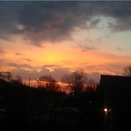 alt_kitten için OnlyFans profil resmi