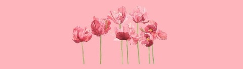 Header afbeelding van OnlyFans alyssa9