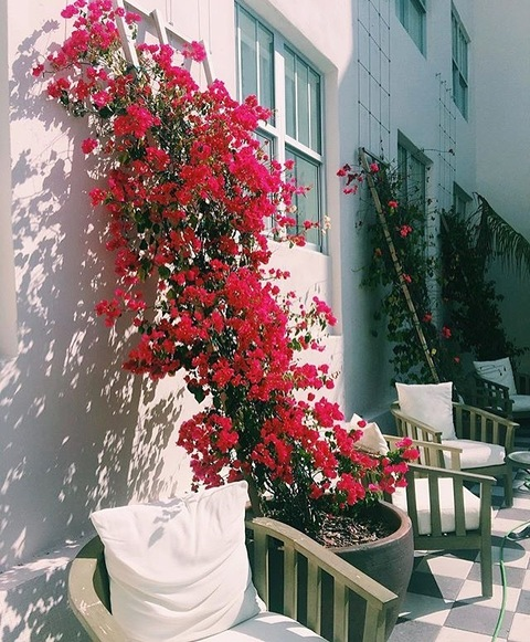 Immagine dell'header di OnlyFans ammeagodd