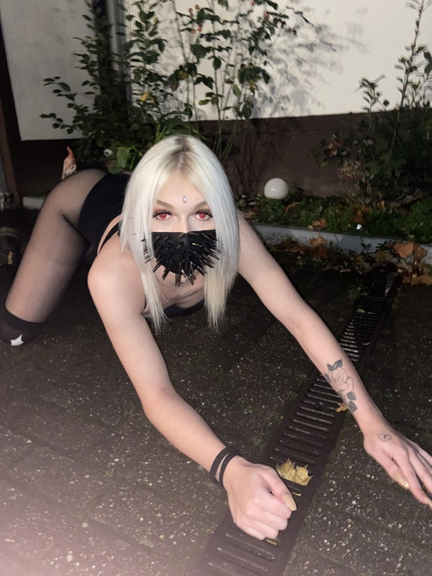 amy_ko99님의 OnlyFans 헤더 사진