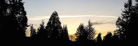 ابحث عن أحدث محتوى OnlyFans analgirlolive الساخن، انضم الآن - FansMetrica