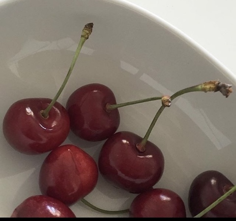 Gambar header OnlyFans anasus