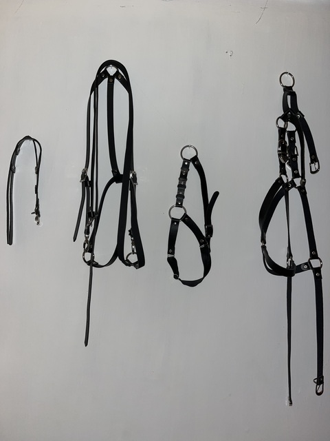 Header afbeelding van OnlyFans andela666