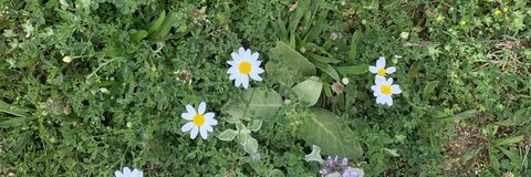 OnlyFans Titelbild andyjazba