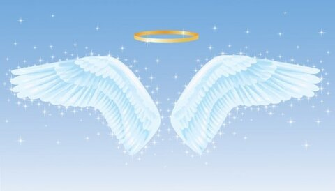 Header afbeelding van OnlyFans ange_lik