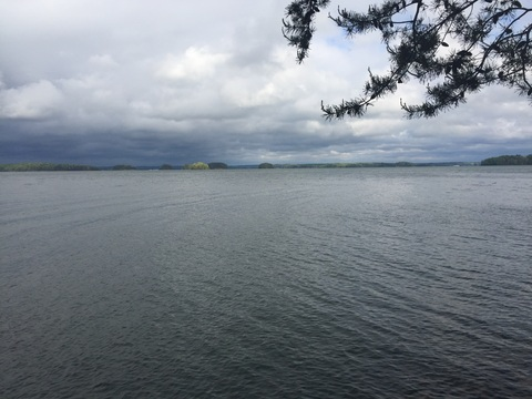 OnlyFans header picture anniemolls