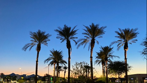 OnlyFans header picture anthvny