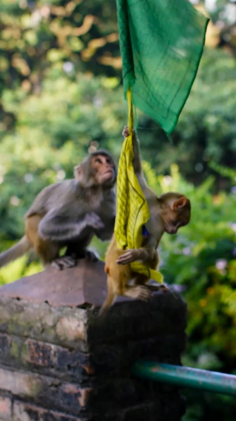 OnlyFans header picture as12604