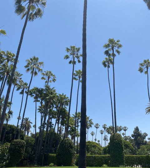 Imagen de encabezado de OnlyFans astorcrimsonbabe