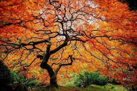 Imagem do cabeçalho do OnlyFans de autie_123