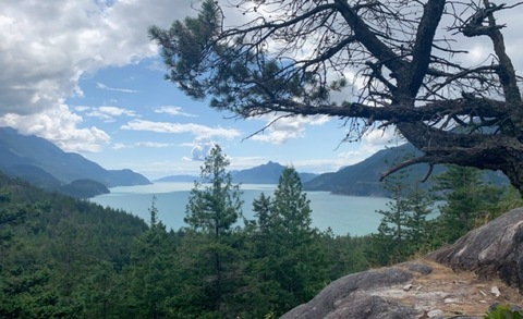 OnlyFans header picture avacharleson