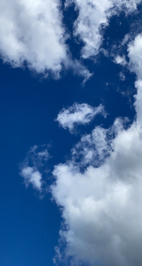 Photo d'en-tête OnlyFans de b1gboob13b1tch