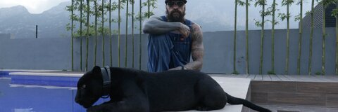 Gambar header OnlyFans babocartel