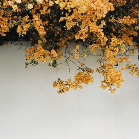 Zdjęcie nagłówka OnlyFans babycrx