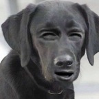 OnlyFansのプロフィール写真 baddievirgo