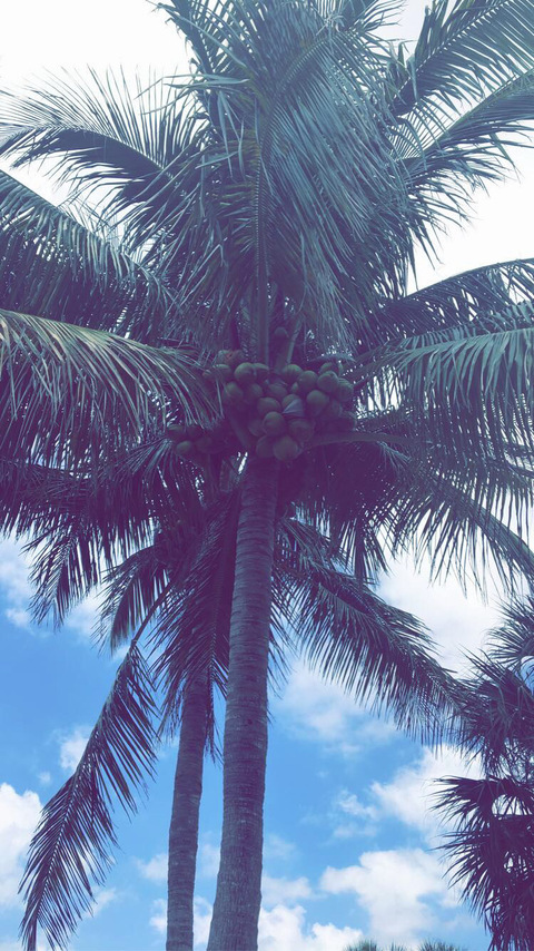 badrice2121님의 OnlyFans 헤더 사진