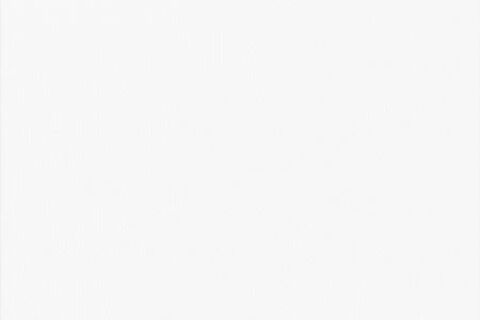 Gambar header OnlyFans baristacaroline