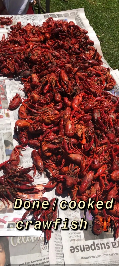 ओन्लीफैंस हैडर चित्र bbobbyle20