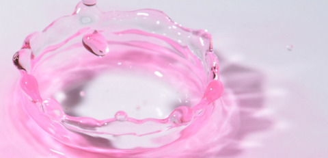 OnlyFans header picture berryrollo