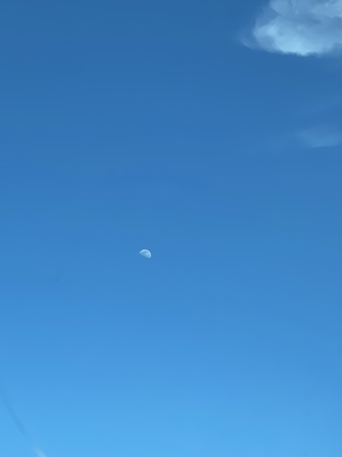 OnlyFans header picture bessbreastvip