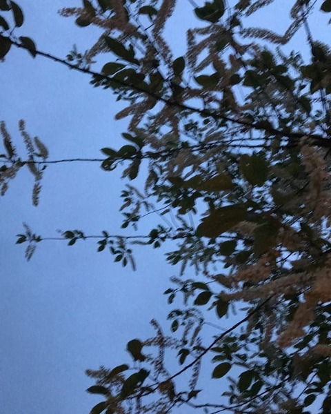 Header afbeelding van OnlyFans bigivyfootgoddess