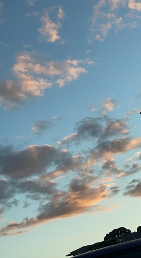 OnlyFansヘッダー画像bigteddygf