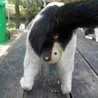 OnlyFans profile picture billbrwnbrwn