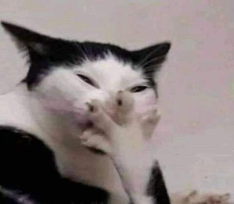 Gambar header OnlyFans bisexualgym