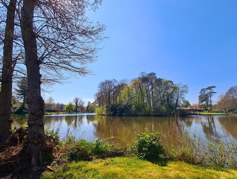 Фото заголовка OnlyFans bitingthedust3