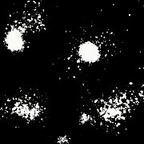 OnlyFans प्रोफाइल चित्र blackbeast