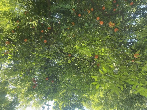 Gambar header OnlyFans blinkxfree