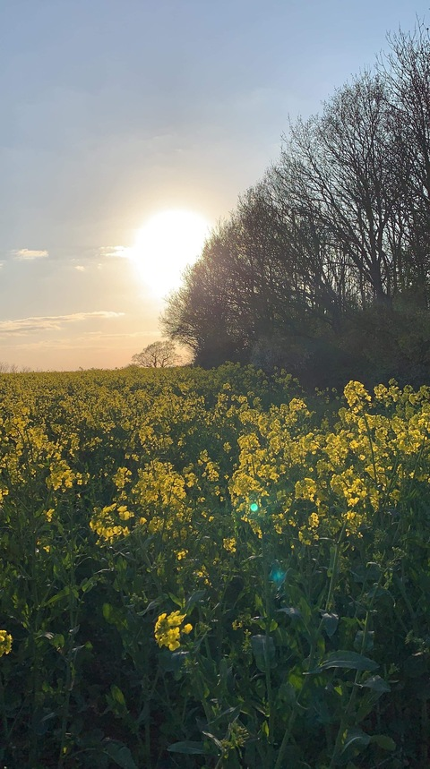 ओन्लीफैंस हैडर चित्र bobstar247