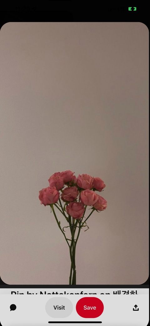 Фото заголовка OnlyFans boricua0022