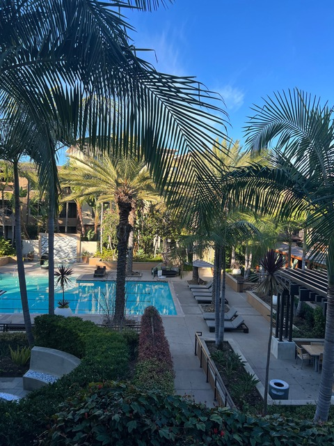 OnlyFans header picture breanamburchett