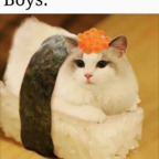 Nur ein Profilbild von OnlyFans von brighton