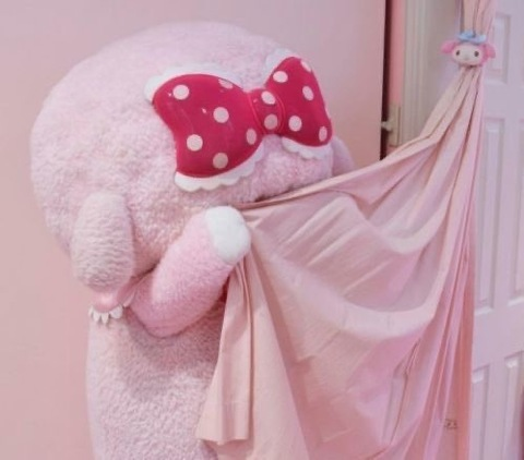 Снимка за заглавие на OnlyFans bubblesbih