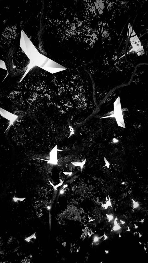 Gambar header OnlyFans bunnybutt17