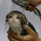 OnlyFans 프로필 사진 buttholeblunder