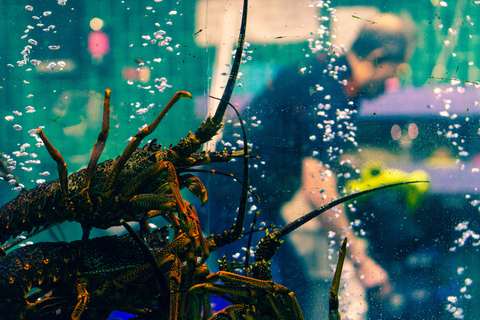 OnlyFansヘッダー画像cannibalismvarietyhour