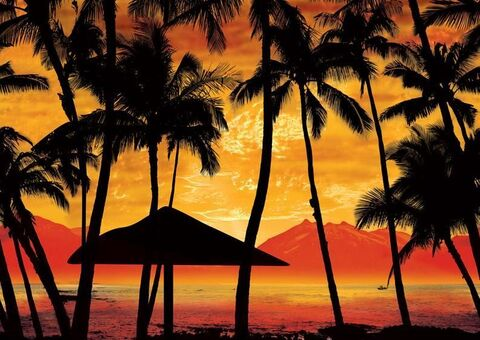 ओन्लीफैंस हैडर चित्र carolina.lassnibatt