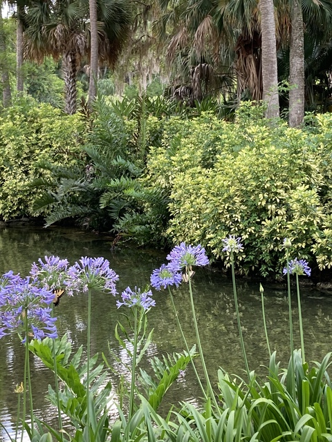 ओन्लीफैंस हैडर चित्र carolyn_kes